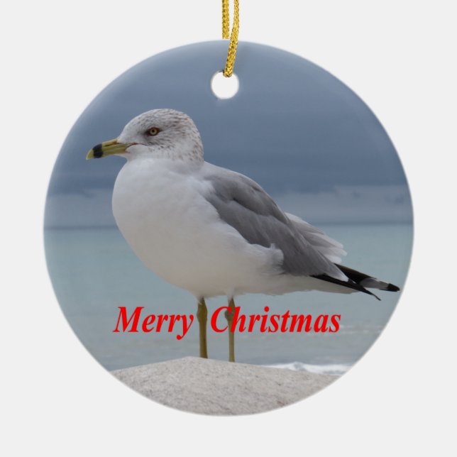 Ornement Rond En Céramique Mouette (Devant)