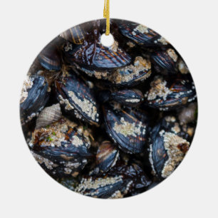 Ornement Rond En Céramique Moules bleues de la Californie s'élevant sur la