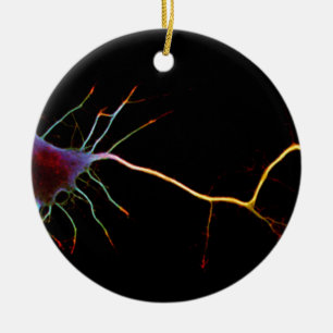 Ornement Rond En Céramique Neuroscience, neuron, science