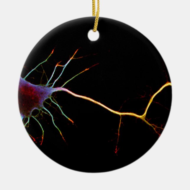 Ornement Rond En Céramique Neuroscience, neuron, science (Devant)