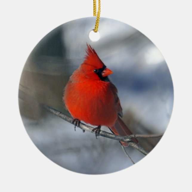 Ornement Rond En Céramique Oiseau cardinal rouge (Devant)
