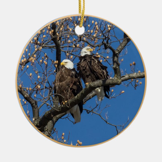 Ornement Rond En Céramique Paire d'aigle à tête blanche (Devant)