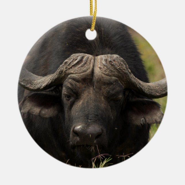 Ornement Rond En Céramique Pâturage de l'ornement de Buffalo d'eau (Devant)