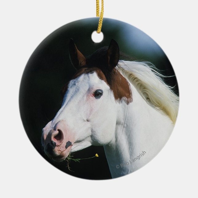 Ornement Rond En Céramique Peignez le Headshot 3 de cheval (Devant)