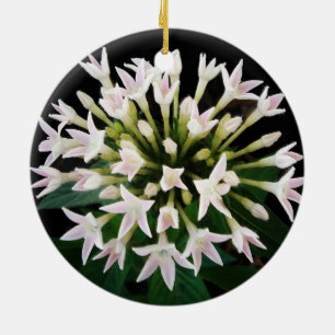 Ornement Rond En Céramique Pentas blancs