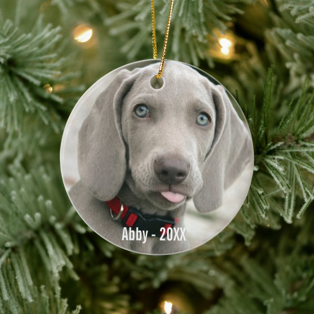 Ornement Rond En Céramique Photo et nom du chien Weimaraner personnalisé (Arbre)