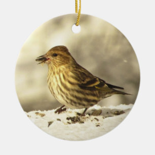 Ornement Rond En Céramique Pin Siskin