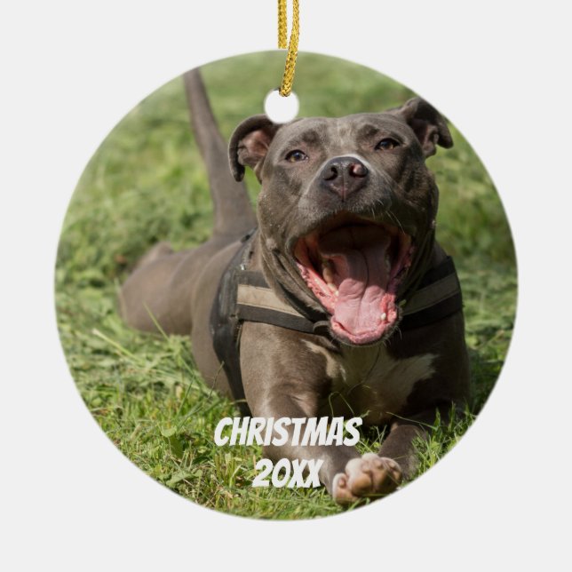 Ornement Rond En Céramique Pitbulle Brown modifiable en herbe (Devant)