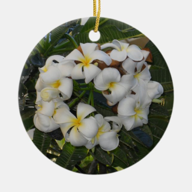 Ornement Rond En Céramique Plumeria de Noël hawaïenne (Devant)