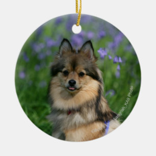 Ornement Rond En Céramique Pomeranian dans l'herbe