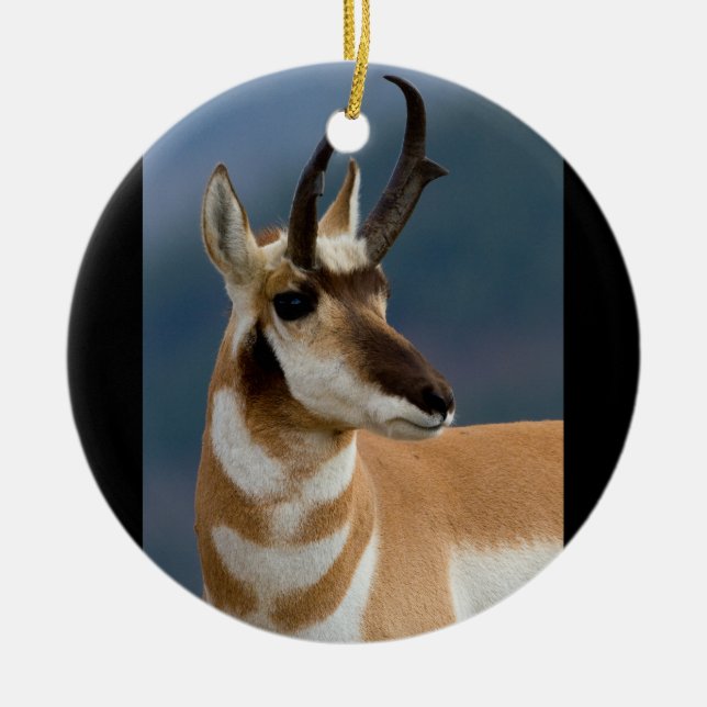 Ornement Rond En Céramique Portrait de Pronghorn (Devant)