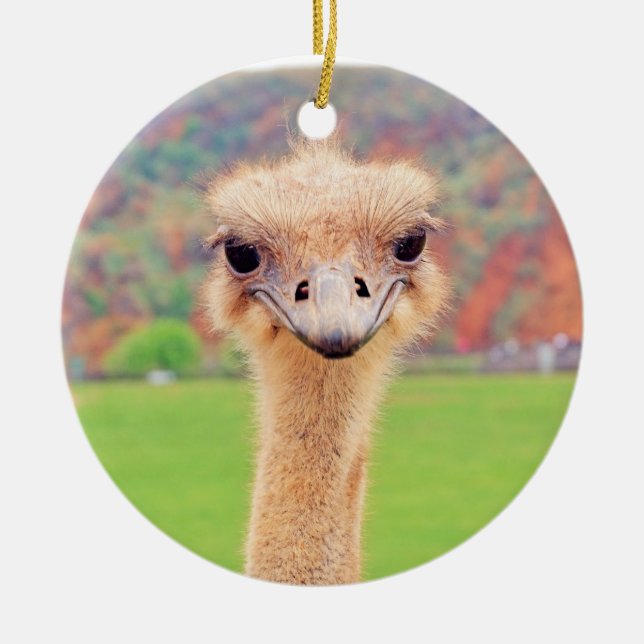Ornement Rond En Céramique Portrait d'Ostrich (Devant)
