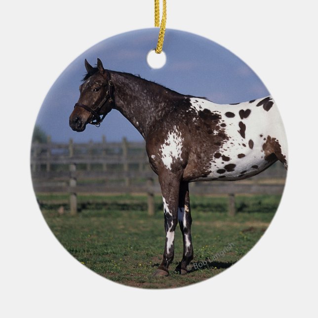 Ornement Rond En Céramique Position de cheval d'Appaloosa (Devant)