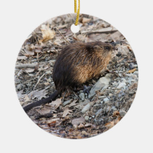 Ornement Rond En Céramique Rat musqué