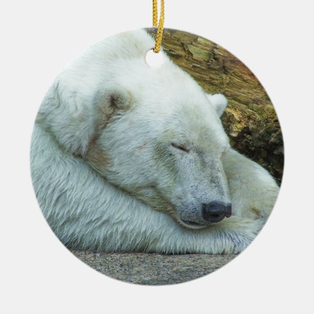 Ornement Rond En Céramique Rêves de Noël (Devant)