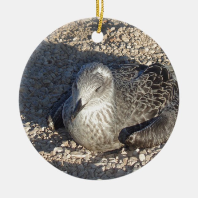 Ornement Rond En Céramique Seagull Profitant Du Soleil Été Photographie (Devant)