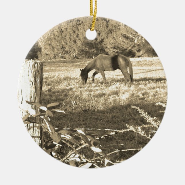Ornement Rond En Céramique Sepia ton cheval Brown et clôture (Devant)
