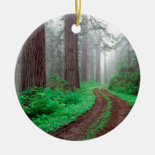 Ornement Rond En Céramique Séquoia de forêt