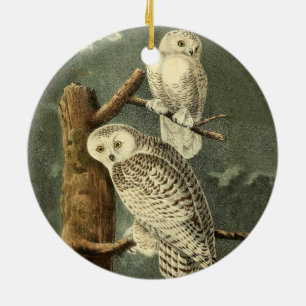 Ornement Rond En Céramique Snowy Owl Audubon Bird Artwork