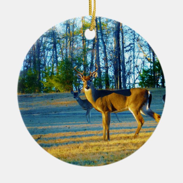 Ornement Rond En Céramique Stade / Buck Deer, Ciel bleu clair (Devant)
