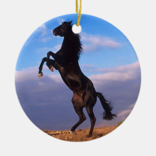 Ornement Rond En Céramique Stallion noir
