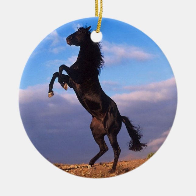 Ornement Rond En Céramique Stallion noir (Devant)