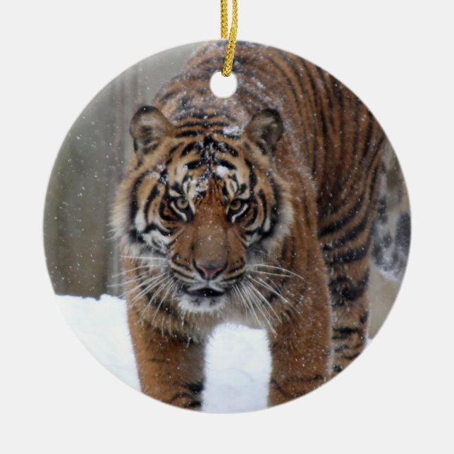 Ornement Rond En Céramique Tigre Damai de Smithsonien | Sumatran (Devant)