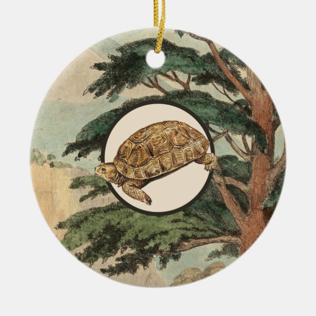 Ornement Rond En Céramique Tortue de désert dans l'illustration d'habitat (Devant)