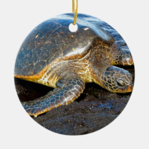 Ornement Rond En Céramique Tortue de mer