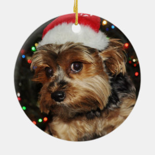 Ornement Rond En Céramique Yorkshire terrier