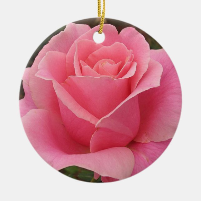 Ornement rose (Devant)