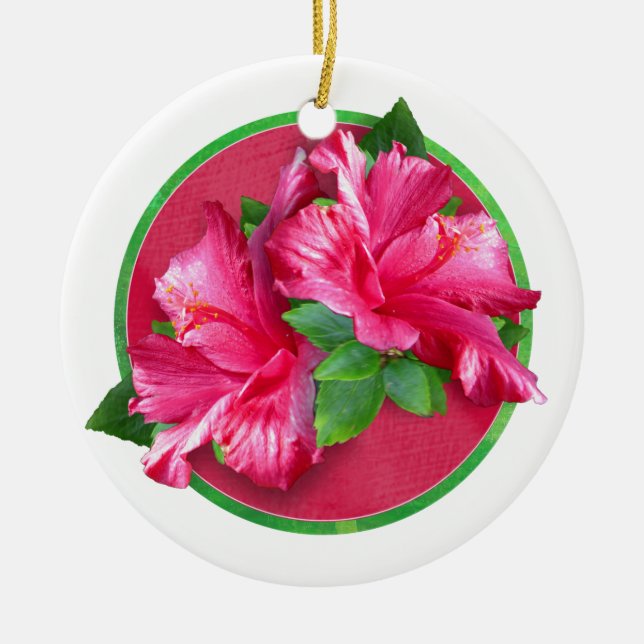 Ornement rose de cercle de la Reine de ketmie (Devant)
