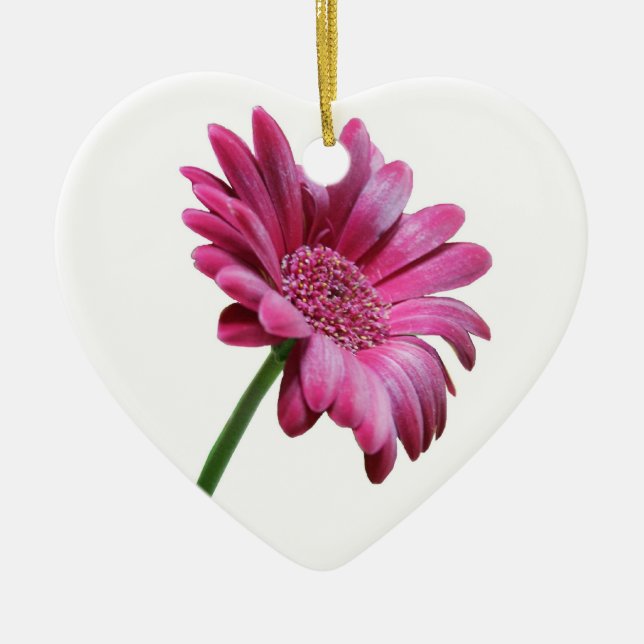 Ornement rose de marguerite de Gerbera (Devant)