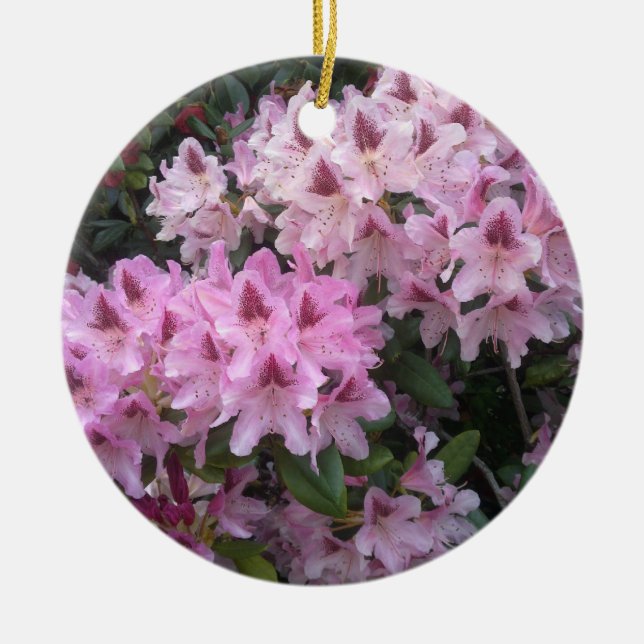 Ornement rose de rhododendron (Devant)
