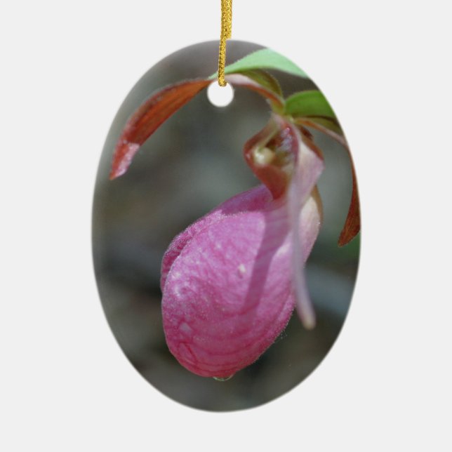 Ornement rose Lady Slipper Flower (Devant)