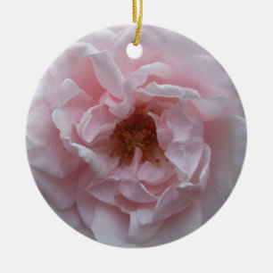 Ornement - Rose rose pâle