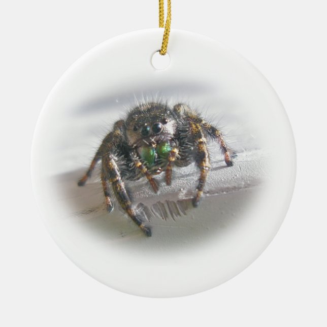 Ornement sautant de Noël d'audax de Phiddipus (Devant)