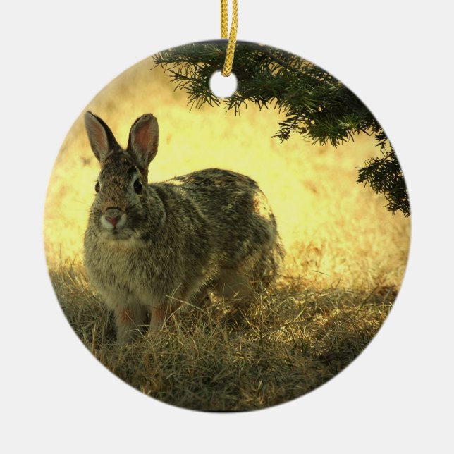 Ornement sauvage de photo de lapin (Devant)