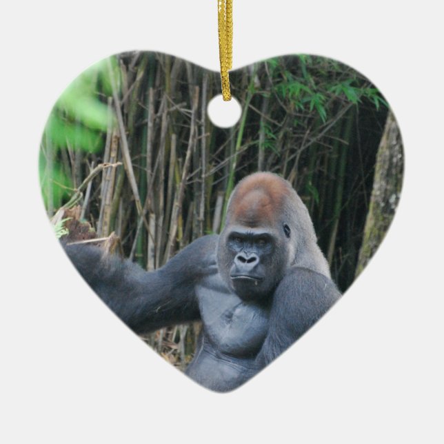 Ornement se reposant de gorille de Silverback (Devant)