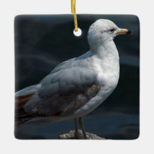 Ornement Seagull