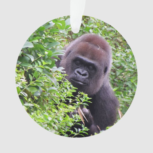 Ornement semi-transparent de gorille (devant)