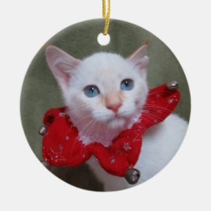 Ornement siamois de chaton de point de flamme