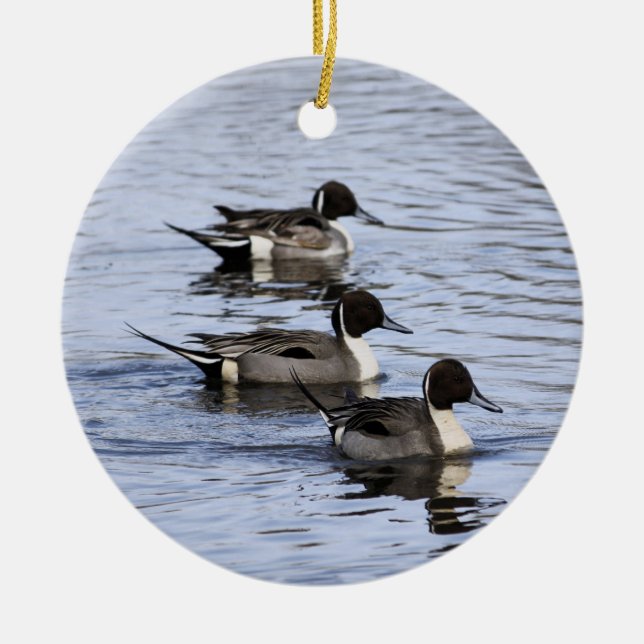 Ornement trio de canard à intail (Devant)