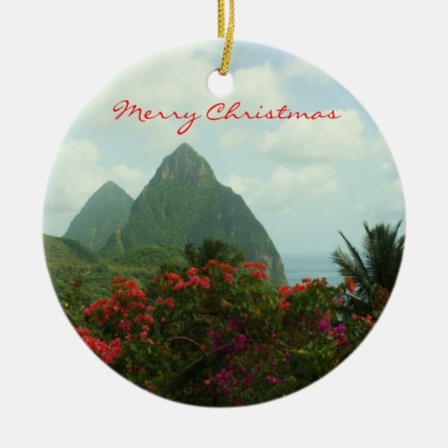Ornement tropical de Joyeux Noël de paradis (Devant)