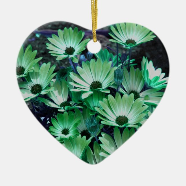 Ornement vert de fleur de marguerites africaines (Devant)