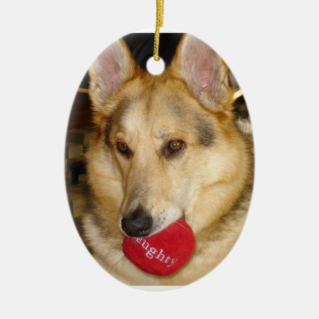 Ornement vilain de chien (Devant)