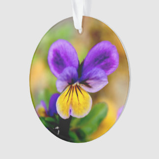 Ornement violet