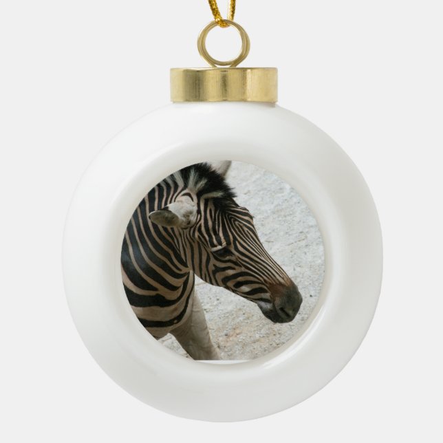 Ornement Zebra (Devant)