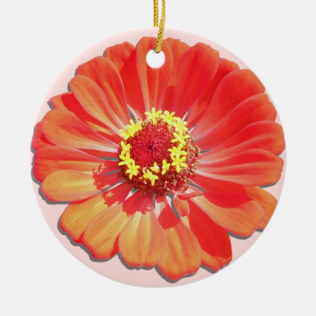 Ornement - Zinnia rouge (Devant)