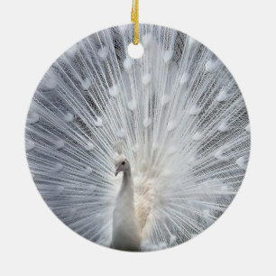 Ornements blancs de paon de Noël blanc